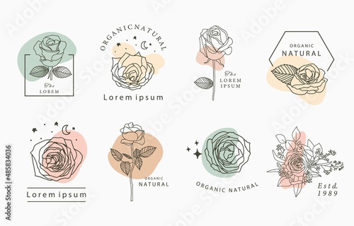 Beauty occult collection with geometric,rose,moon,star,flower.Vector illustration for icon,sticker,printable and tattoo