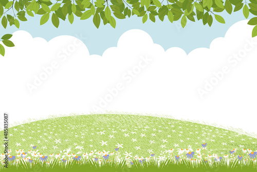 Spring background with rural grass field landscape, green leaves border on blue sky background,Vector cute cartoon for Easter with copy space sky and cloud,Backdrop banner for Hello spring, Summer