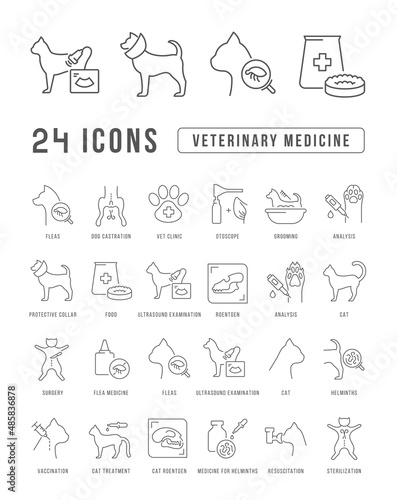 Veterinary Medicine. Collection of perfectly thin icons for web design, app, and the most modern projects. The kit of signs for category Medicine.