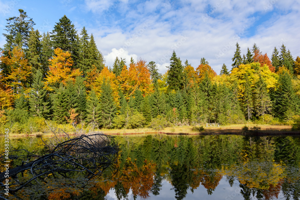View of high-altitude forest lake Ozirtse by sunny autumn day near Synevyrska Poliana, Zakarpattia Oblast. The leaf fall forest, wild lake in mountains. View of high-altitude forest lake Ozirtse by sunny autumn day near Synevyrska Poliana, Zakarpattia Oblast. The leaf fall forest, wild lake in mountains.