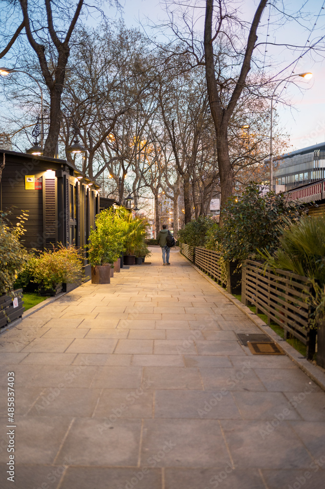 Obraz premium Lonely avenue with a person walking at dusk
