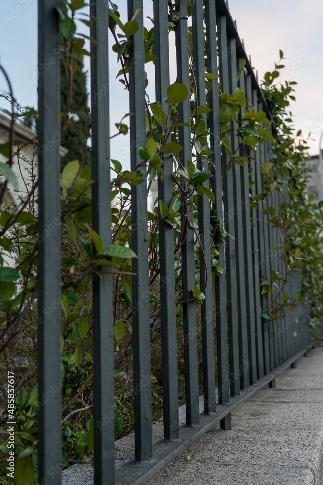 Wrought iron fence. Classic fence painted black. Wrought iron fence. Classic fence painted black.