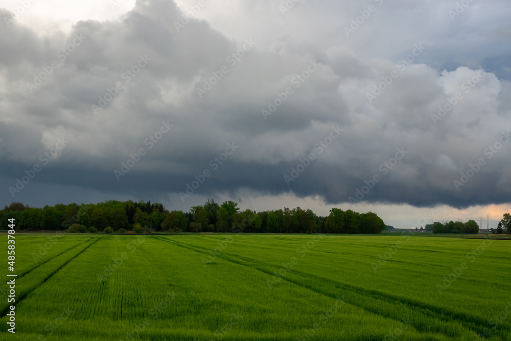 impending squall with rain, impending hurricane, impending rain, approaching storm, Prairie Storm, the storm is coming, approaching storm, thunderstorm, tornado, mesocyclone, climate, Shelf cloud