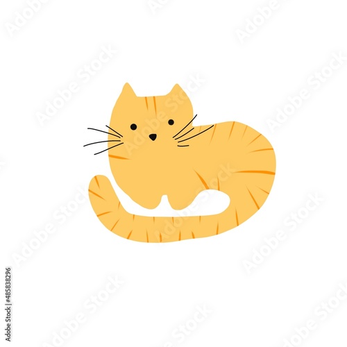Fototapeta Naklejka Na Ścianę i Meble -  red cat in stripes sits