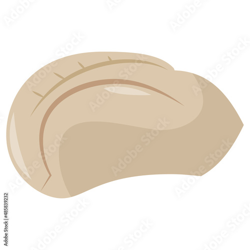 Cartoon Chinese Dumpling