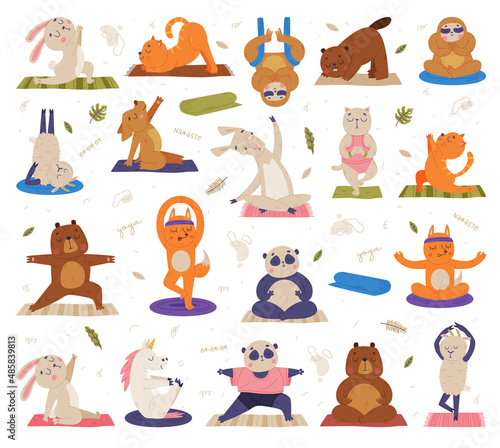 Funny Animals on Yoga Mat Practicing Asana and Stretching Vector Set
