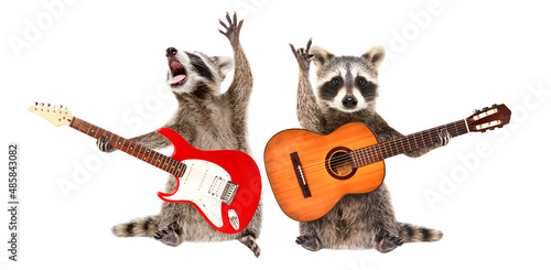 Billede på lærred Two funny raccoons with guitars isolated on white background