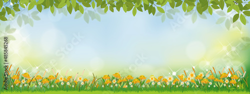 Vector Spring nature background with sunflowers and green grass field, Summer background with branches leave on boarder and blurry bokeh light effect. Template banner for Easter, Spring,Summer concept