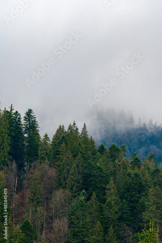 Fototapeta Naklejka Na Ścianę i Meble -  Mountain top in the fog, morning fog in the mountains.