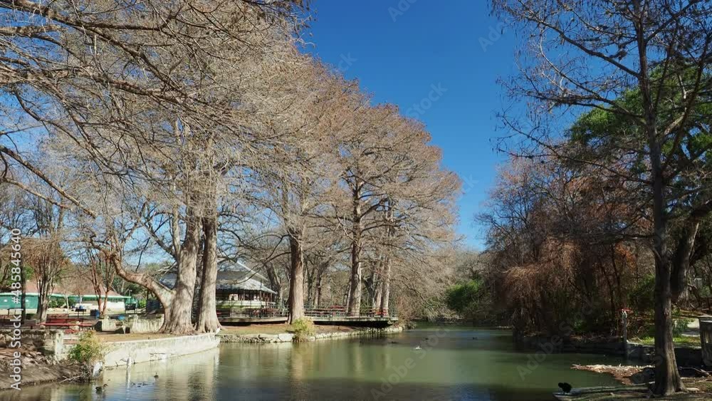 Sunny view of the landscape around Brackenridge Park Sunny view of the landscape around Brackenridge Park