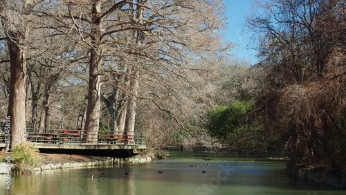 Sunny view of the landscape around Brackenridge Park photo