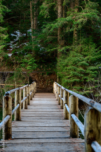 Forest trail with fence, hiking in the woods, Ukrainian Carpathians and hiking trails.