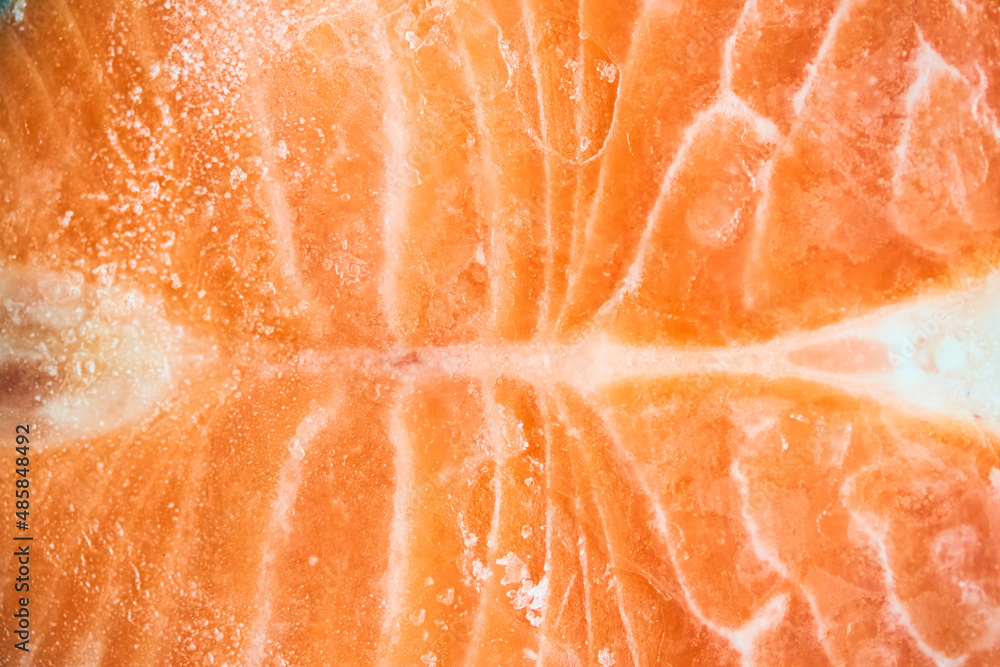 A piece of frozen salmon fillet. Close-up of pink salmon fillet with space to copy. High quality photo A piece of frozen salmon fillet. Close-up of pink salmon fillet with space to copy. High quality photo