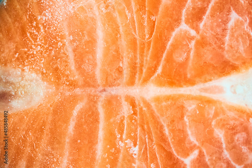 A piece of frozen salmon fillet. Close-up of pink salmon fillet with space to copy. High quality photo