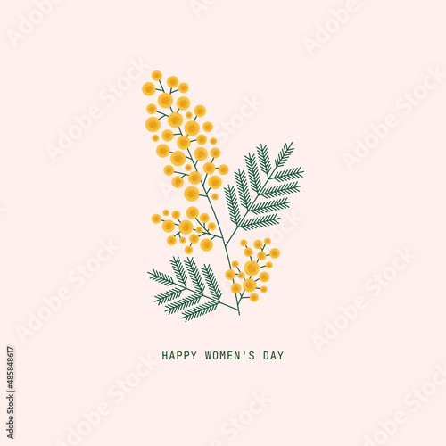 Photos Mimosa flower branch illustration. Spring holiday symbol.