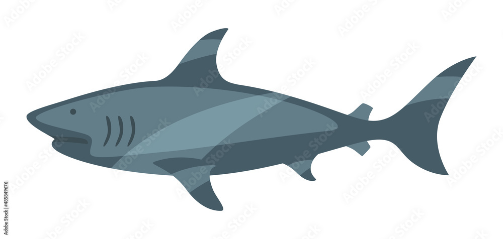 Stylized illustration of shark. Marine fauna and wildlife. Stylized illustration of shark. Marine fauna and wildlife.