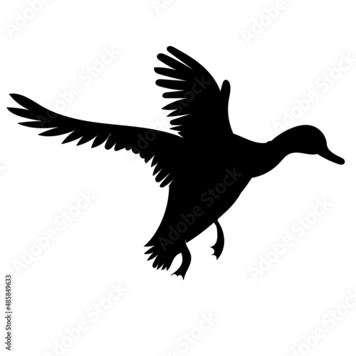 flying duck silhouette ,on white background, vector