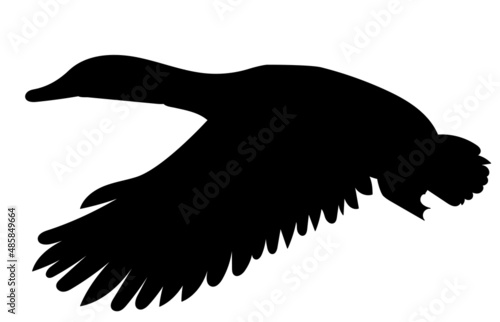 duck silhouette ,on white background, vector