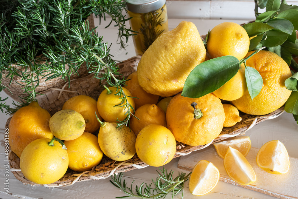 Lemons fruits and fresh rosemary herbs
Lemons fruits and fresh rosemary herbs in a basket on white wooden vintage planks. Top view.