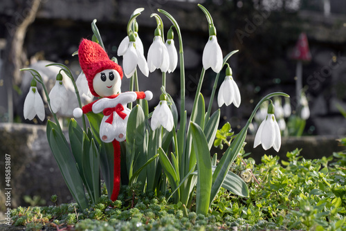 Snowdrops and martenitsa or martishor. March 1st - traditional trinket, Baba Marta Day - Bulgarian holiday. Beginning of spring, springtime concept photo