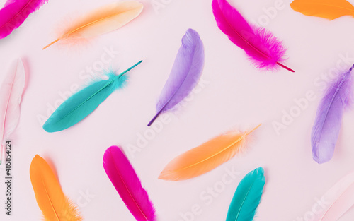 Colorful bird feathers pattern background © eshana_blue