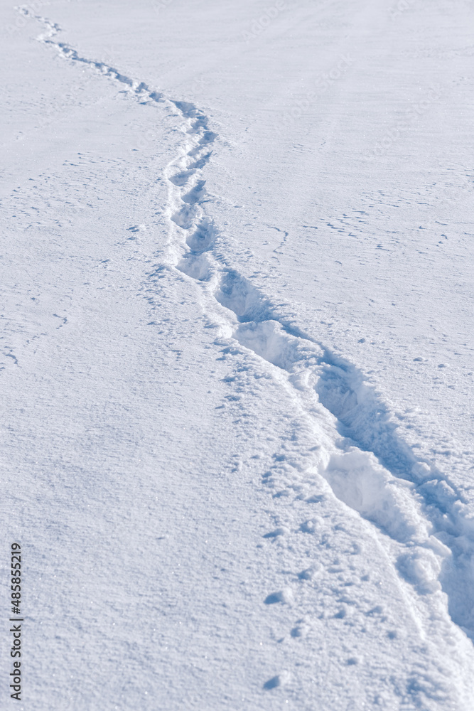 Fußspuren im Schneee Fußspuren im Schneee