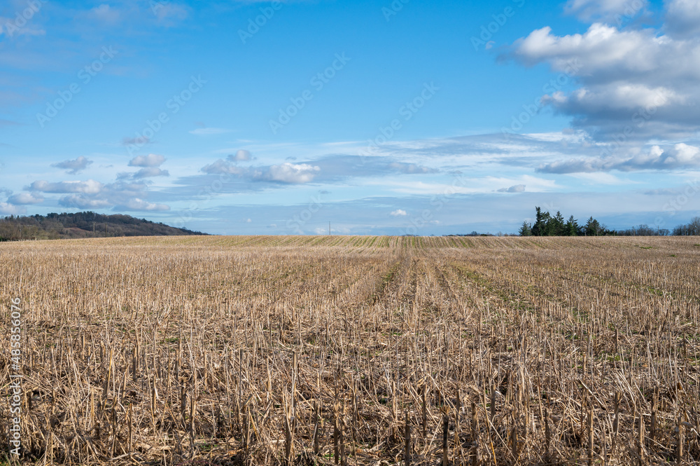 Panorama de champs en france