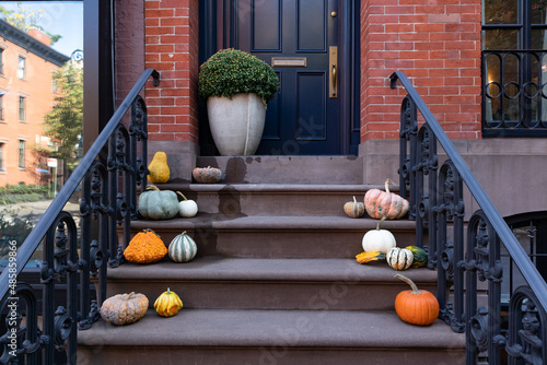 Photography New York City Home Decorated with Pumpkins and Gourds on the Stairs during Autum