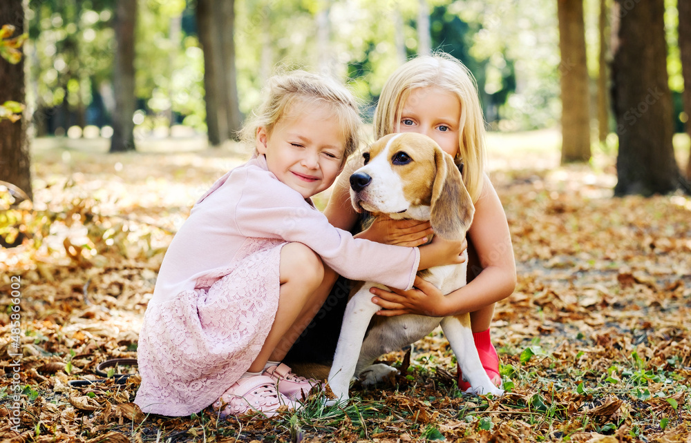 Little girls playing with beagle dog outside Little girls playing with beagle dog outside