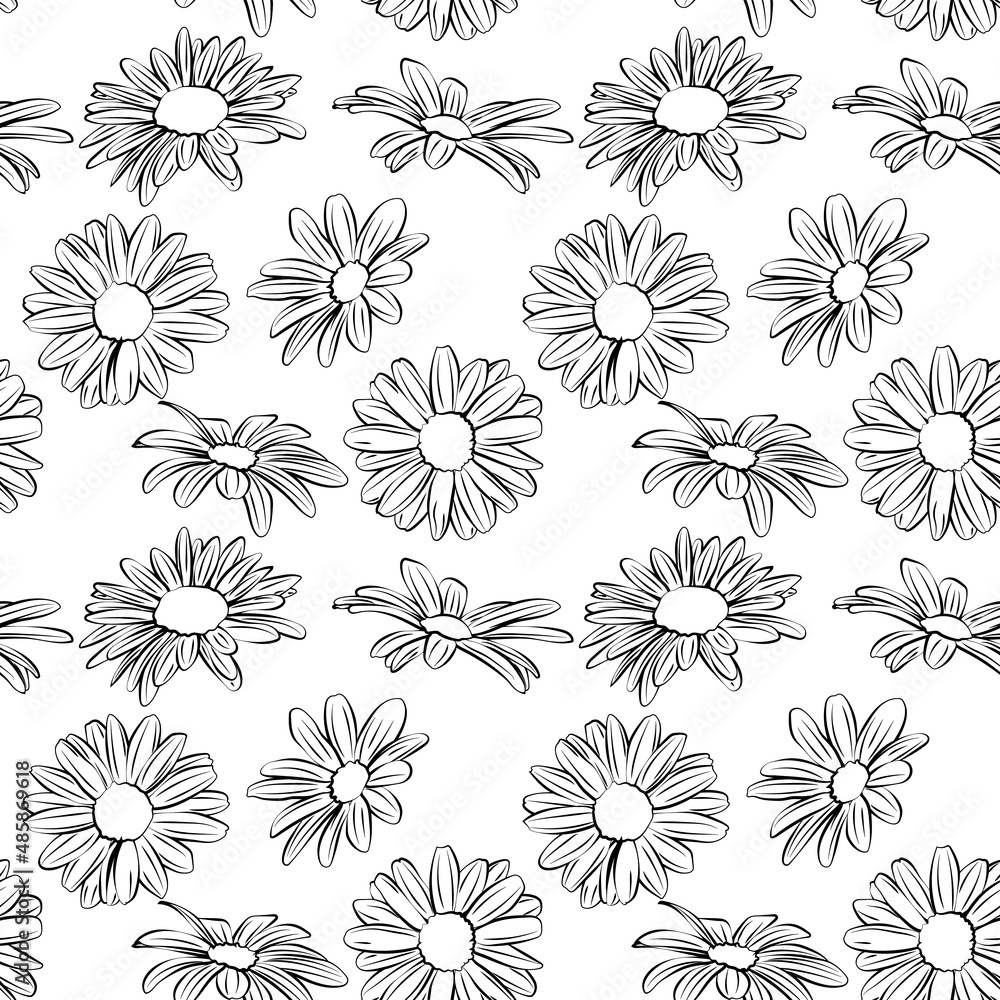 A set of seamless patterns with daisies, 1000x1000, vector graphics.