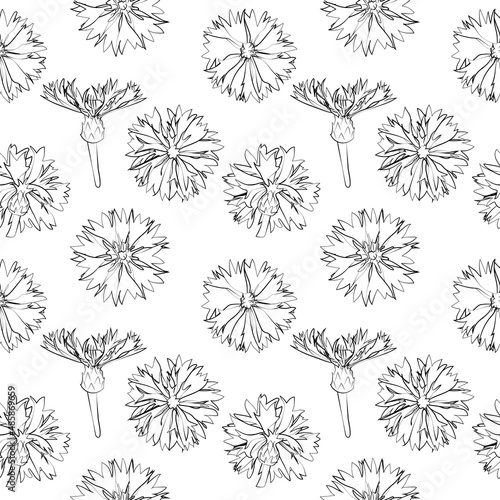 A set of seamless patterns with cornflowers 1000x1000, vector graphics.