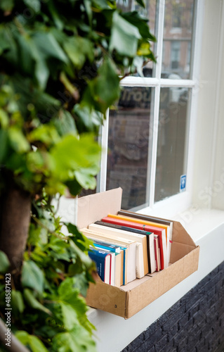Stack of books near window and green leaves