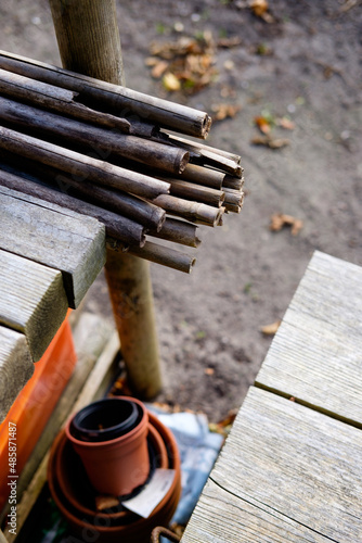 Bamboo sticks in garden
