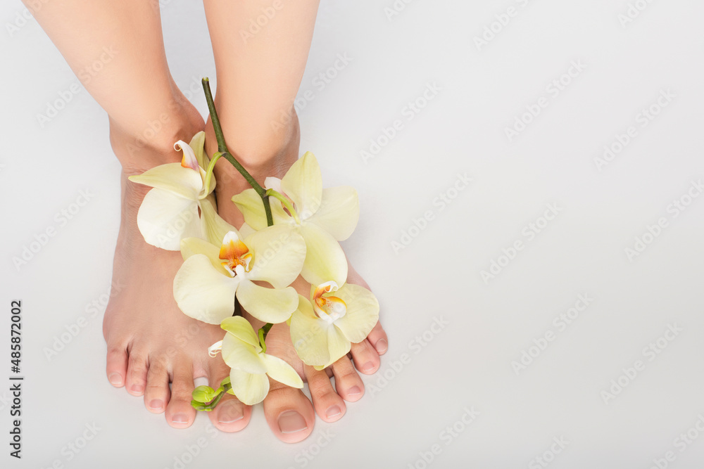 partial view of woman with orchid on feet on white background partial view of woman with orchid on feet on white background