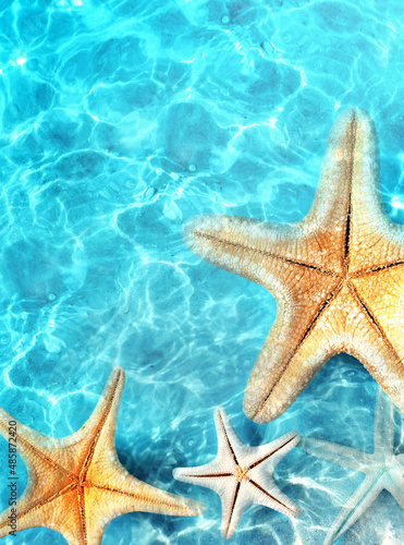 Fototapeta Naklejka Na Ścianę i Meble -  Starfish on the summer beach in sea water. Summer background.