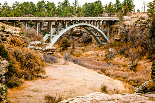 Canyon Bridge with Pine Trees