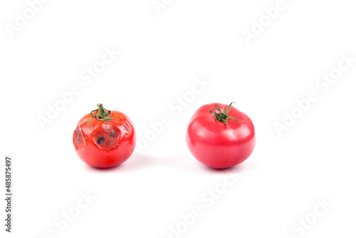Foto spoiled tomato with rot on a white or black background