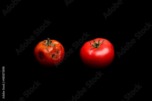 Принти на полотні spoiled tomato with rot on a white or black background
