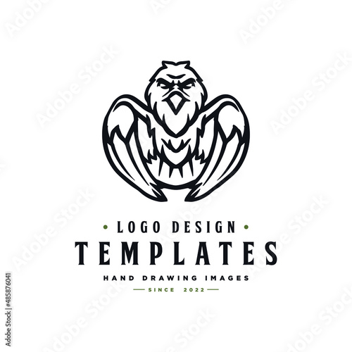 Eagle logo inspiration, eagle vector logo