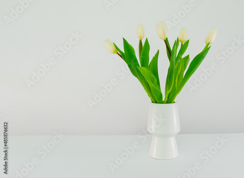 White tulips in a white vase