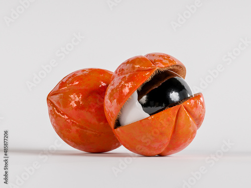 Guarana fruit from the Amazon with apparent seed without leaves