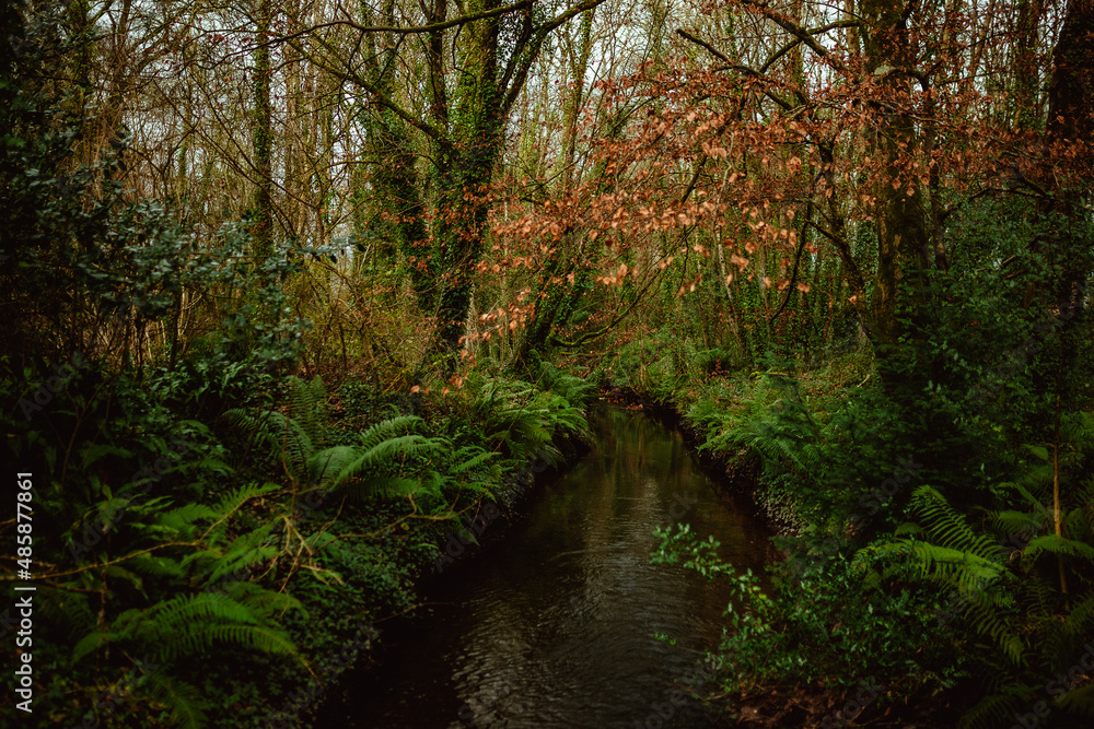 Obraz premium Blarney Castle and Gardens