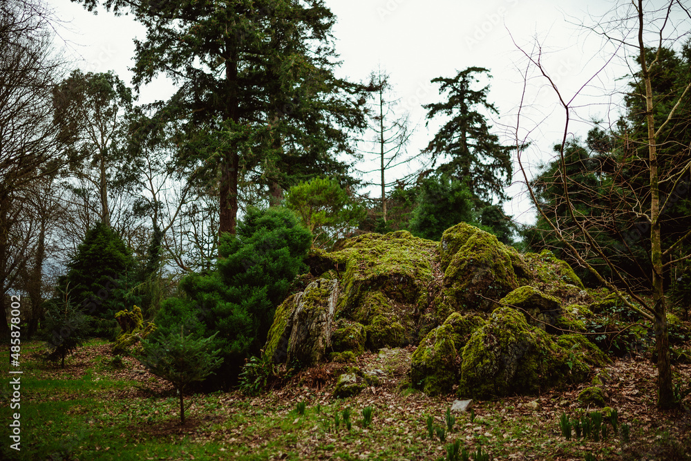 Fototapeta premium Blarney Castle and Gardens
