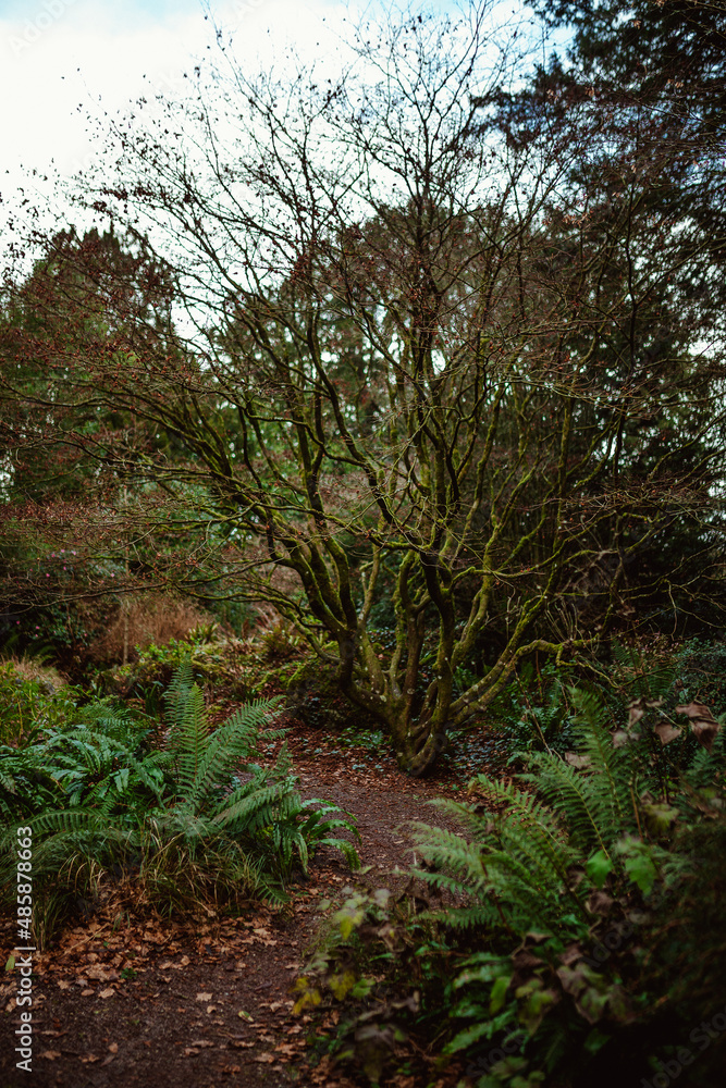 Blarney Castle and Gardens Blarney Castle and Gardens
