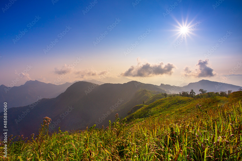 Beautiful landscape nature in morning on peak mountain with sunlight cloud fog and bright blue sky in winter at Phu Chi Fa Forest Park is a famous tourist attraction of Chiang Rai Province, Thailand