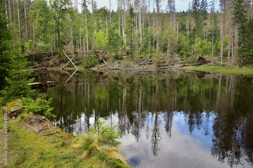 Boubín Lake, as a navigable reservoir on the Kaplický brook, was built in 1833 to simplify the navigation of timber from the Boubín forests. Boubín Lake