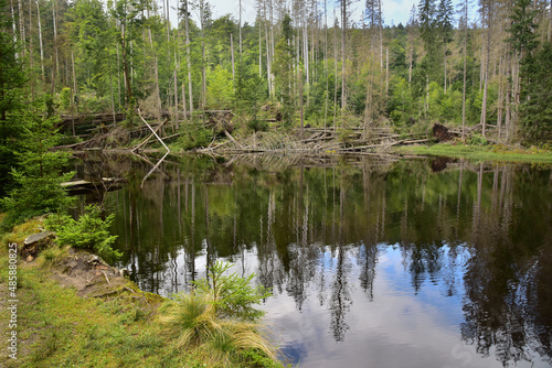 Photos Boubín Lake, as a navigable reservoir on the Kaplický brook, was built in 1833 to simplify the navigation of timber from the Boubín forests