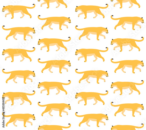 Vector seamless pattern of flat lioness isolated on white background