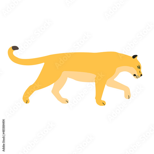 Vector flat lioness isolated on white background
