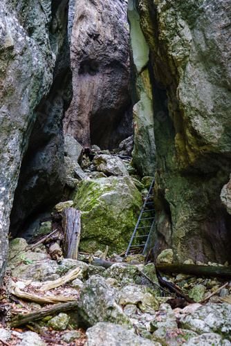 Leiter am Wanderweg in der Weichtalklamm beim Schneeberg  Nieder  sterreich    sterreich